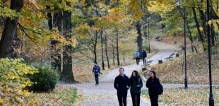 Яким буде останній тиждень місяця: прогноз погоди в Україні на 24-30 жовтня