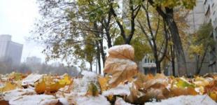 +15 градусів і сонце: де в Україні взагалі не буде морозів у грудні