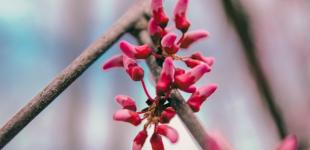 Прогноз погоди на 10 травня в Україні: місцями будуть будуть дощі, а місцями – заморозки