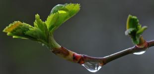 Синоптикиня попередила про мінливість погоди та чергове похолодання найближчими днями