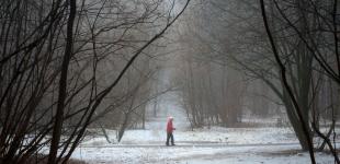 Дощі та аномально тепла погода: синоптик дав прогноз, якою буде зима в Україні