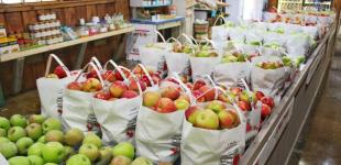 Зростання цін в Україні: що здорожчає найбільше цього року