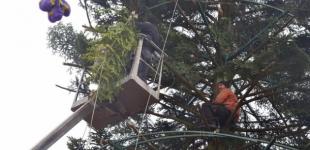 Главную елку Киева реставрируют после ДТП