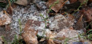 Синоптики попереджають про сніг, ожеледицю та зниження температури