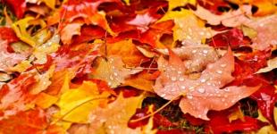 На скільки точний прогноз погоди: синоптик розповів, чи можна планувати події за 2 – 3 місяці