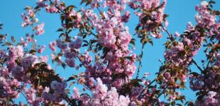 У вівторок Україну прогріє до +20°