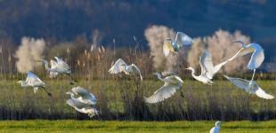 Гороскоп на 3 квітня для всіх знаків зодіаку: день, коли всіх супроводжуватиме успіх