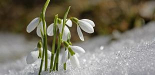 До України прийде аномальне потепління: синоптик назвав дати