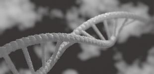 Учені вперше створили колективний геном людства