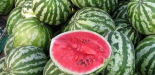 Спрос на арбузы упал из-за роста цен до исторического максимума 