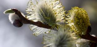 Різка зміна погоди: синоптик дав прогноз на вихідні