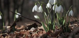 Синоптик розповіла, коли чекати на нову хвилю похолодання в Україні