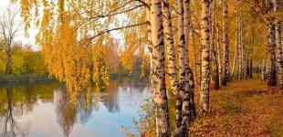 Україну накриють дощі: прогноз погоди на 25 жовтня