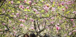 Українців попередили про заморозки на 6 травня: в яких регіонах