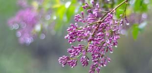 Похолодання і заморозки: синоптикиня розповіла, коли чекати зміни погоди в Україні