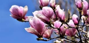 Погода на Великдень, 16 квітня: чи потепліє в Україні на свято