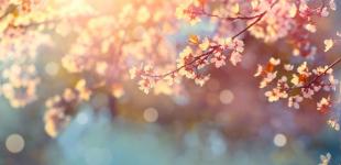 Гороскоп на 17 квітня для всіх знаків зодіаку: день, який не варто витрачати на рутину