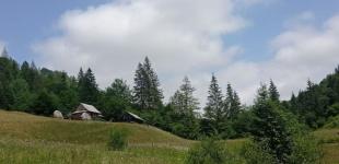 Прогноз погоди на 19 травня: місцями в Україні будуть дощі та грози, температура - до  +26°