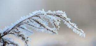 Прогноз погоди на вихідні 28–29 січня: вогко, похмуро та невеликі нічні морози