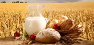 Масло, хлеб и не только; Украина продала в ЕС агропродукции на $5,2 миллиарда