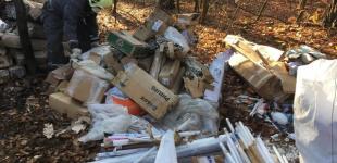 В Киеве ликвидировали четыре свалки ртутных ламп