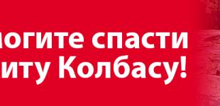 Помогите спасти 14 летнего Никиту Колбасу!