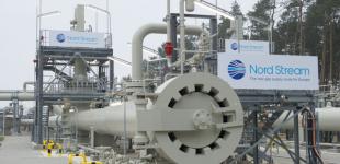 Экологи ФРГ призвали остановить Северный поток-2