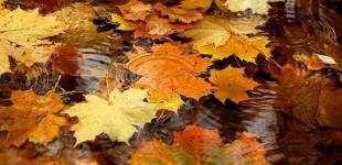 Тепло, але туманно: прогноз погоди на 14 жовтня