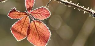  В Украину идут морозы: дожди прекратятся и похолодает