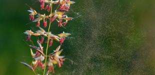 Гороскоп на 1 травня для всіх знаків зодіаку: день кардинальних змін