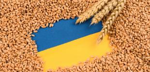 Як в Україні під час війни розвивається бізнес: перспективні галузі і що говорять фермери та економісти