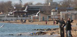 Майже літо посеред зими: синоптик здивував оновленим прогнозом погоди до кінця тижня