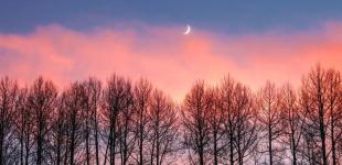 Що зірки нам пророкують: гороскоп на 28 жовтня – 3 листопада 2024 року