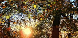 Останні теплі дні: прогноз погоди на вівторок, 29 жовтня