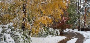 В Україні очікується сніг: синоптик назвала дату