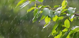 Майже по всій Україні пройдуть дощі та грози - Укргідрометцентр