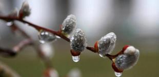 Прогноз погоди на вихідні 16–17 березня: вікенд під кодовою назвою «Краще залишитися вдома»