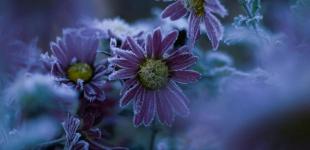 Яким буде листопад і коли чекати на сніг: новий прогноз синоптиків 