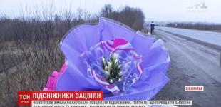 29 декабря в Киеве был побит очередной температурный рекорд