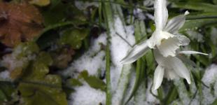 Україну не покидають дощі та нічні морози: прогноз погоди на 3 квітня