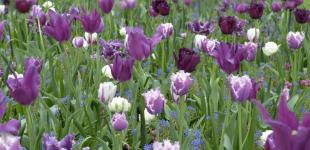 Гороскоп на 23 квітня для всіх знаків зодіаку: день, коли боротьба добра і зла торкнеться кожного з нас