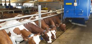 287 украинских производителей продуктов животноводства имеют право экспорта в ЕС