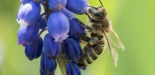 Гороскоп на 15 квітня для всіх знаків зодіаку: день, коли не можна витрачати енергію на сварки та конфлікти