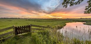 Гороскоп на 21 травня для всіх знаків зодіаку: день, коли ми припинимо злитися ближче до обіду