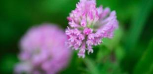 Гороскоп на 19 травня для всіх знаків зодіаку: день, коли можна і потрібно мріяти