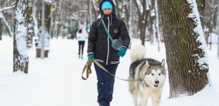 Синоптики розповіли, як довго в Україні протримається морозна погода