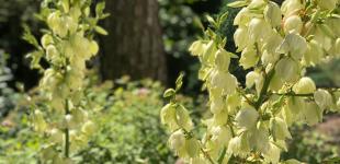 Гороскоп на 18 липня для всіх знаків зодіаку: день, коли зірки рекомендують рухатися вперед