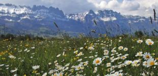 Град та шквали, але є і 