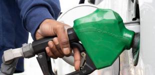 Як змінилися ціни на бензин, дизель та автогаз за останній місяць: дані Держстату