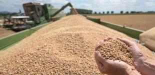 Як відключення світла вплинули на виробництво продуктів: відповідь Мінагрополітики